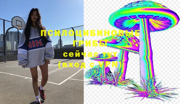 дживик Балабаново