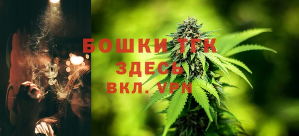 экстази Белокуриха