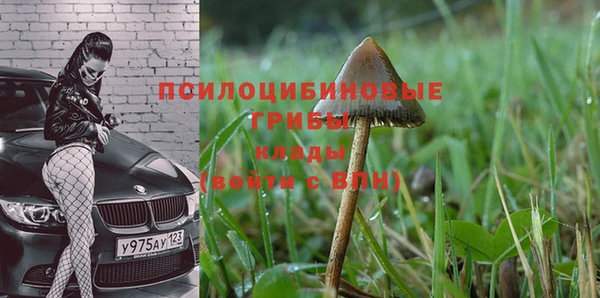 бошки Балахна